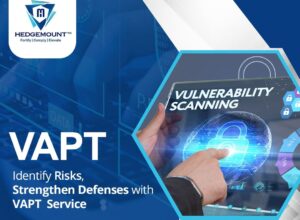 Vulnerability Assessment and Penetration Testing