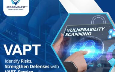 Vulnerability Assessment and Penetration Testing