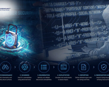 Strengthen Your Cybersecurity with VAPT Services