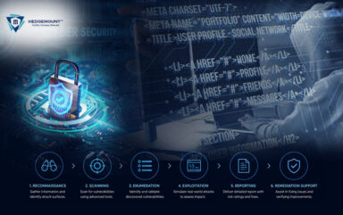 Strengthen Your Cybersecurity with VAPT Services